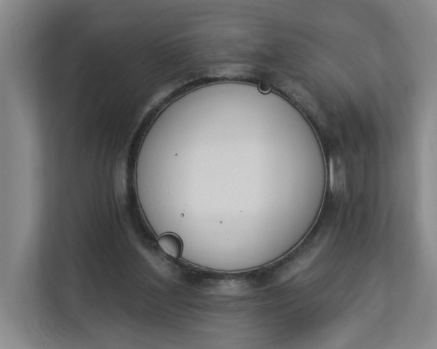 X0000112840204200909041529