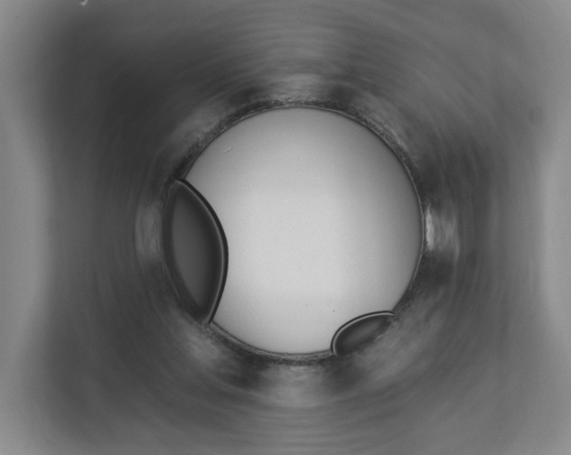 X0000112840205200909041529