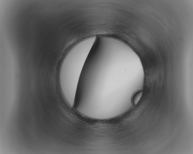 X0000112840207200909041529