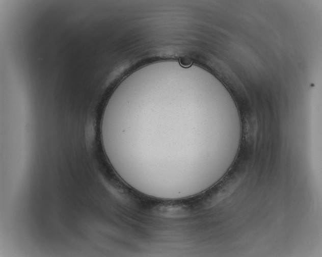 X0000112840208200909041529