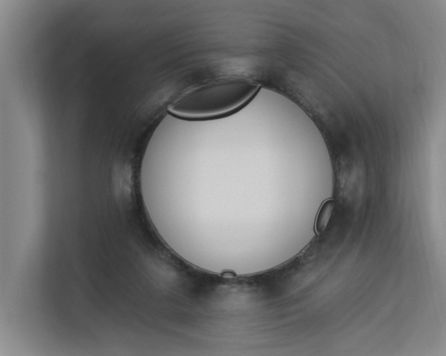 X0000112840211200909041529