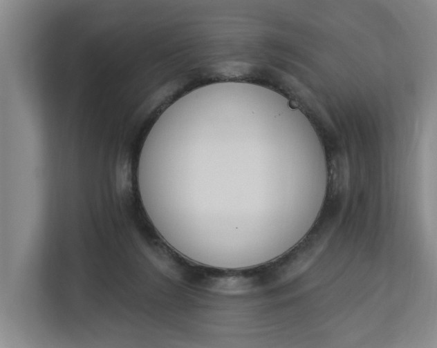 X0000112840212200909041529