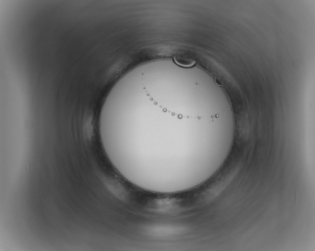 X0000112840216200909041529