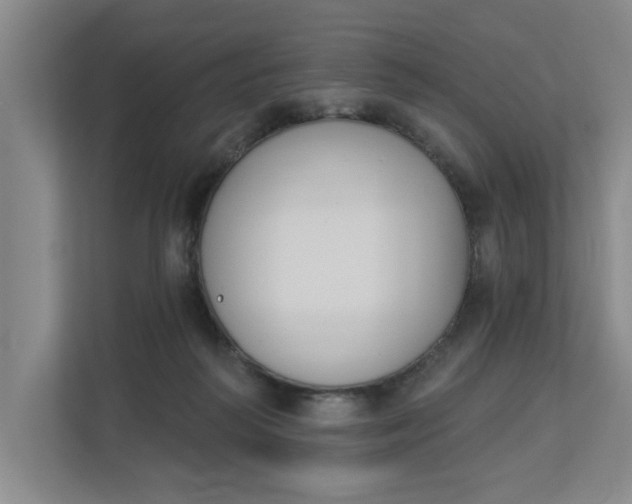 X0000112840218200909041529