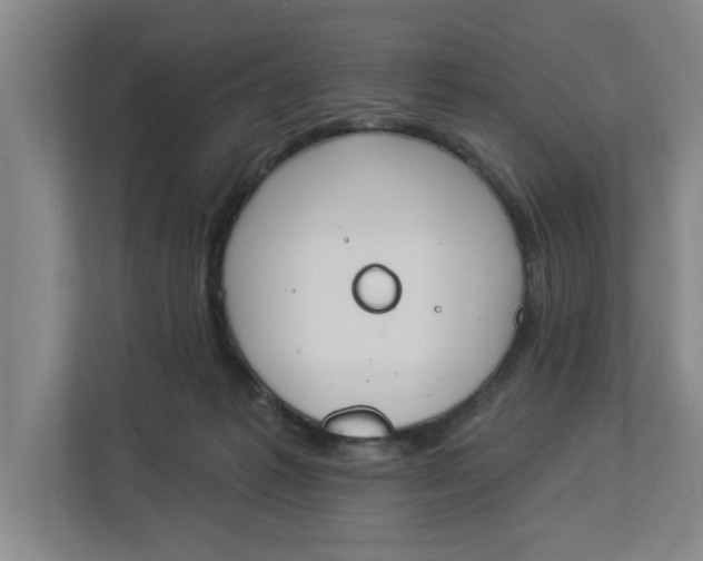 X0000112840221200909041529