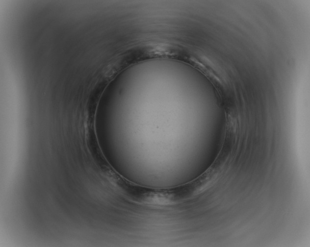 X0000112840223200909041529