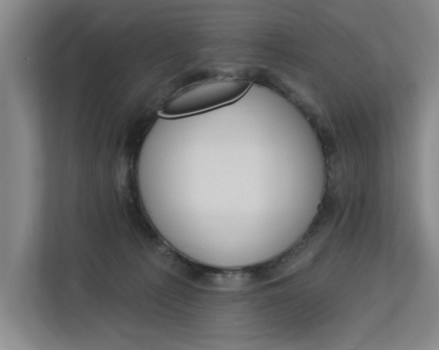 X0000112840225200909041529