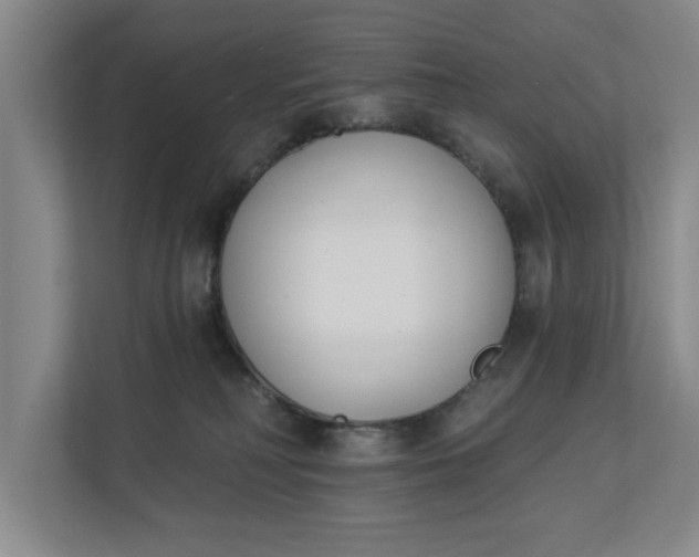 X0000112840230200909041529