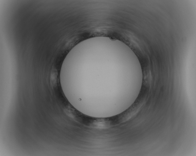 X0000112840231200909041529