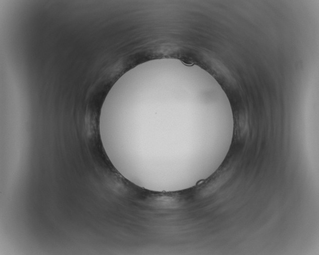 X0000112840236200909041529