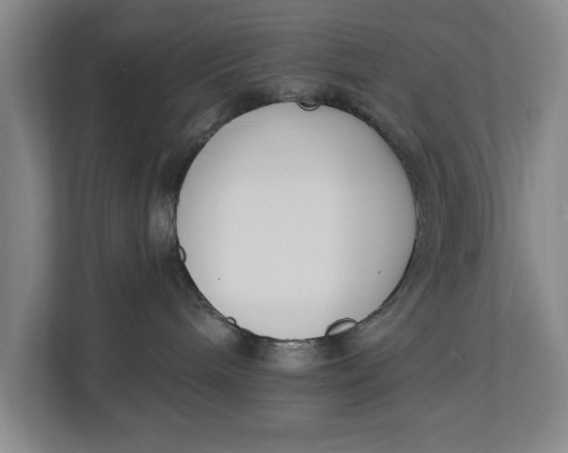 X0000112840240200909041529