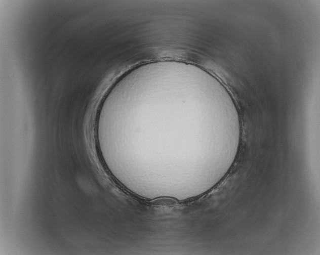 X0000112840241200909041528