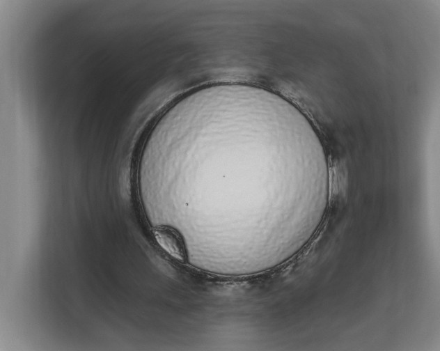 X0000112840243200909041528