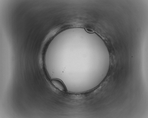 X0000112840245200909041528