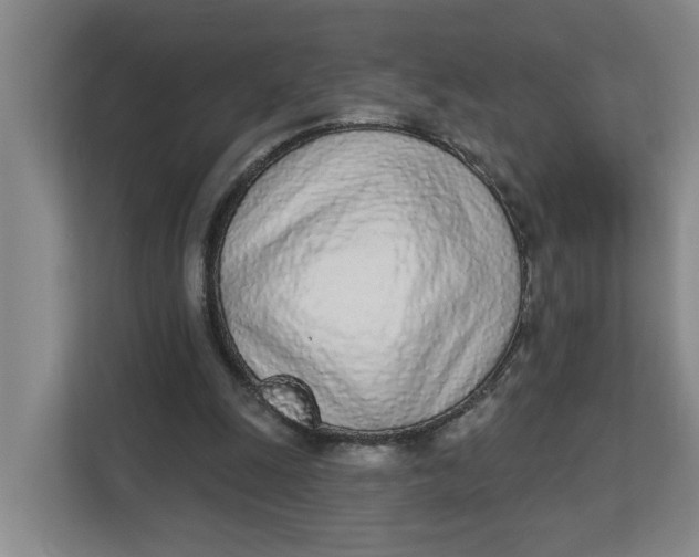 X0000112840247200909041528