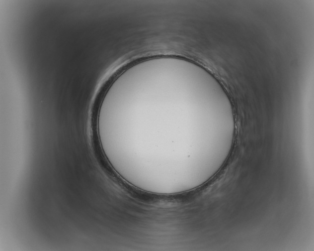 X0000112840248200909041528