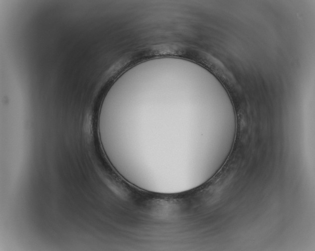 X0000112840250200909041528