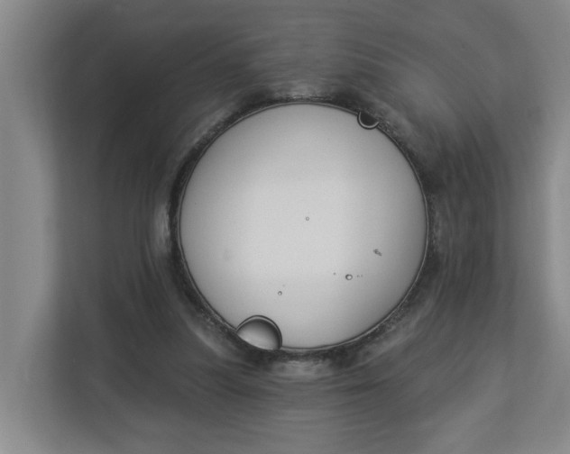 X0000112840251200909041528