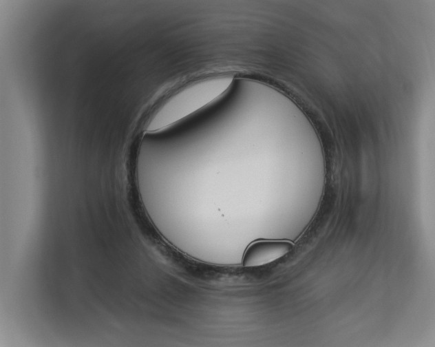 X0000112840256200909041528