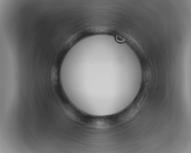 X0000112840264200909041528