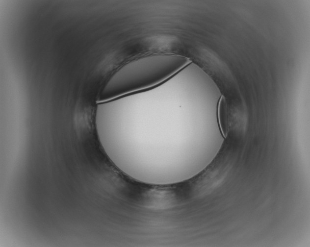 X0000112840280200909041529