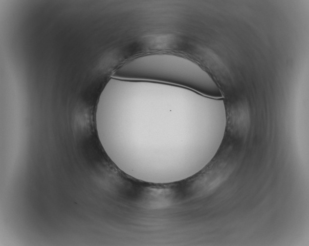 X0000112840284200909041529