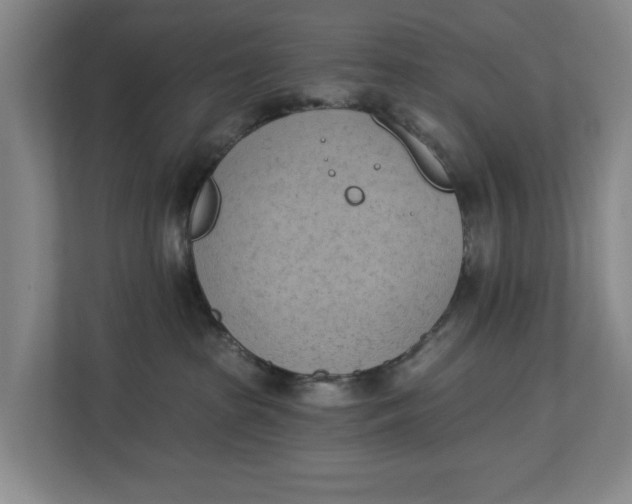 X0000112840285200909041529