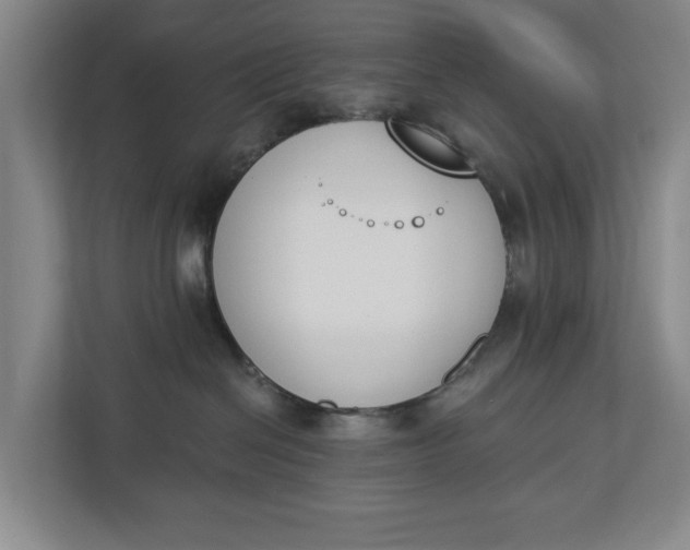 X0000112840286200909041529