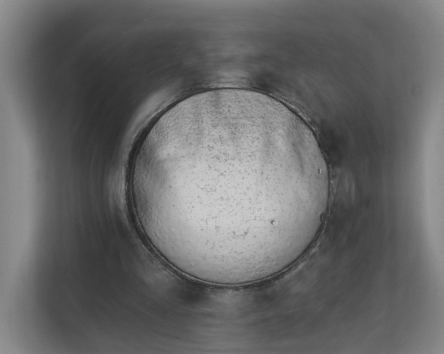 X0000112840293200909041528