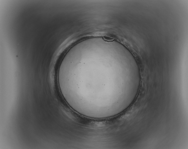 X0000112840295200909041528