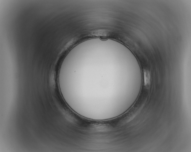 X0000112840300200909041528