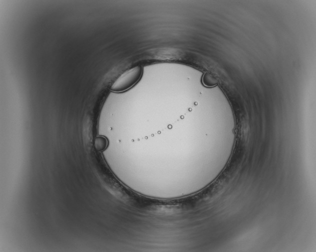 X0000112840303200909041528