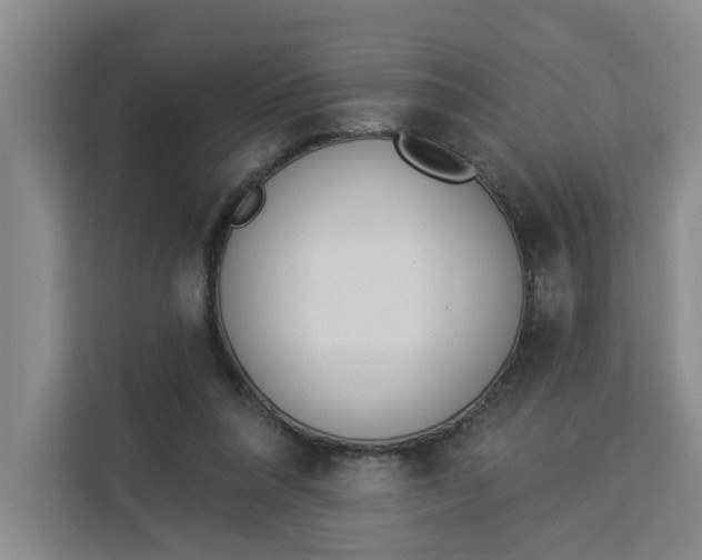 X0000112840304200909041528