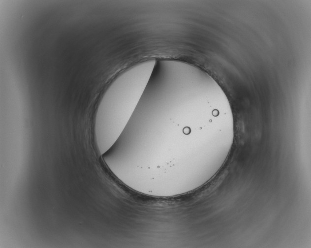 X0000112840305200909041528