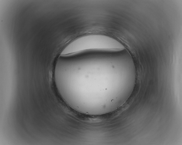 X0000112840309200909041528