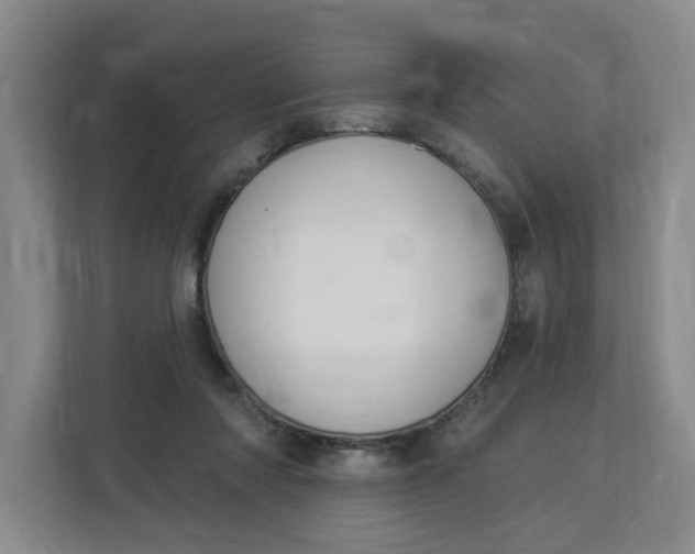 X0000112840310200909041528