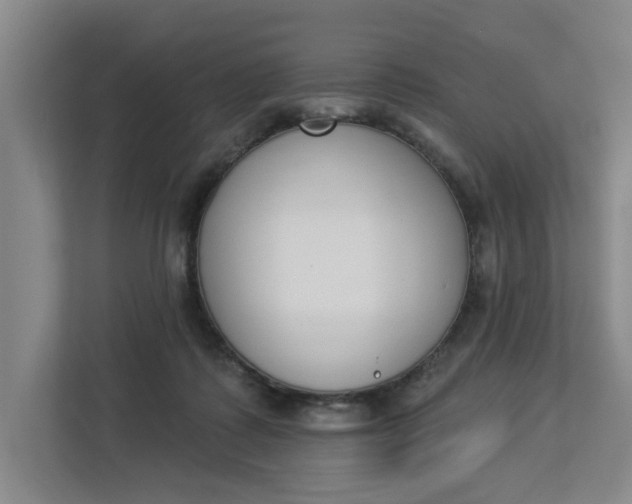 X0000112840315200909041528