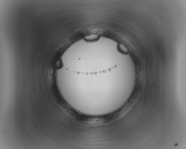 X0000112840319200909041528