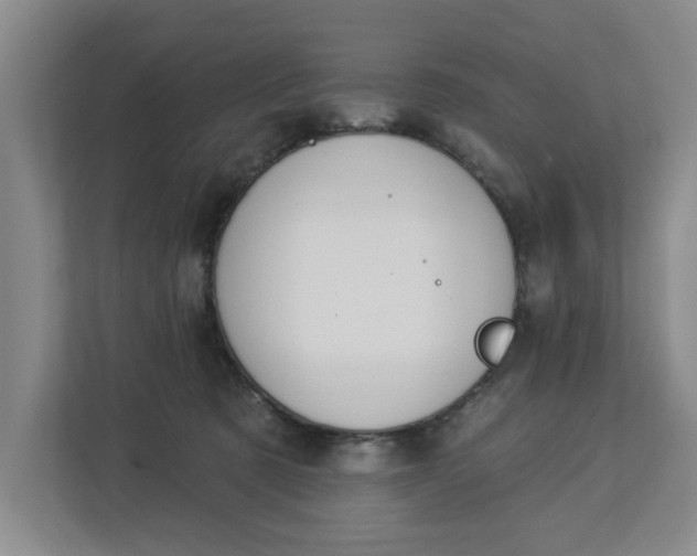 X0000112840321200909041528