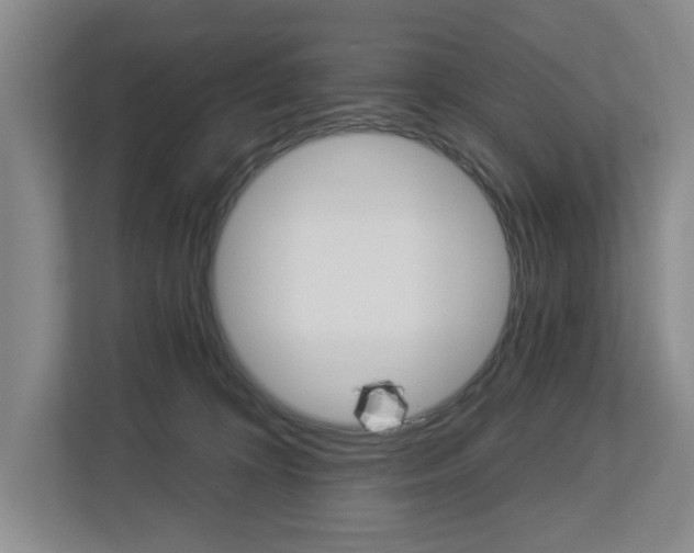 X0000112840324200909041528