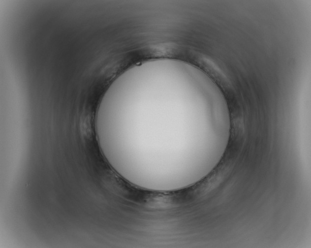 X0000112840325200909041528