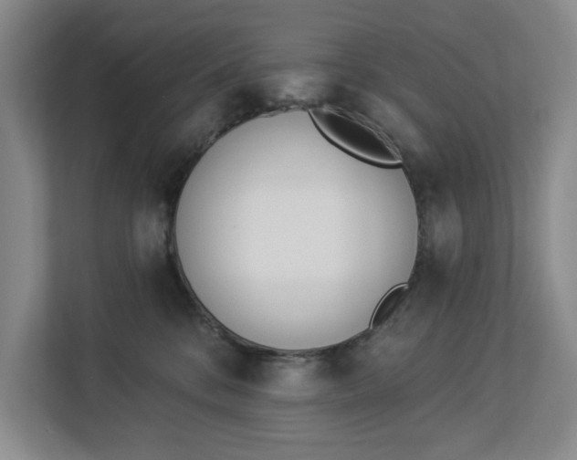 X0000112840328200909041528