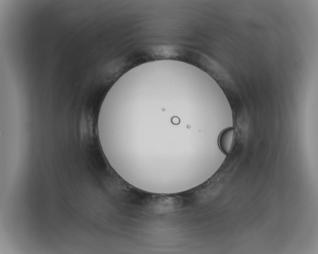 X0000112840330200909041528