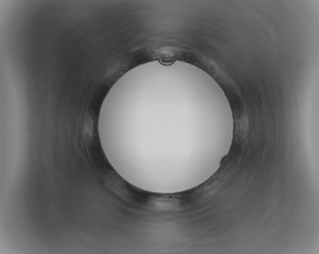 X0000112840331200909041528