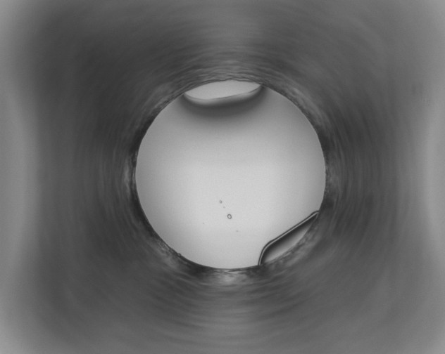 X0000112840333200909041528