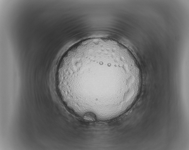 X0000112840337200909041527