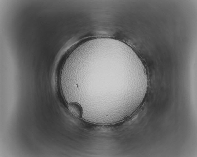 X0000112840343200909041527