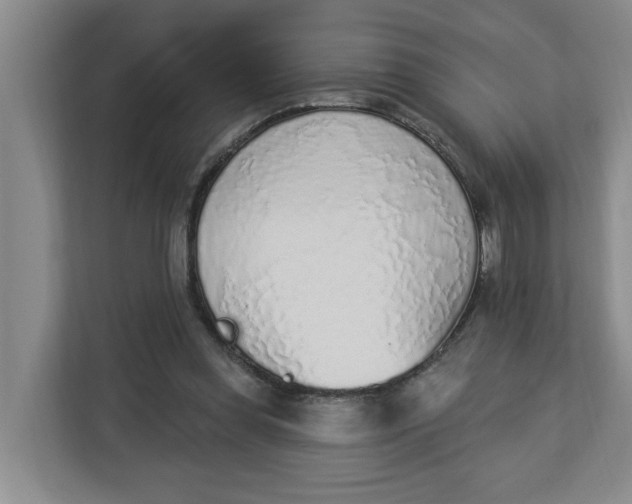 X0000112840349200909041527