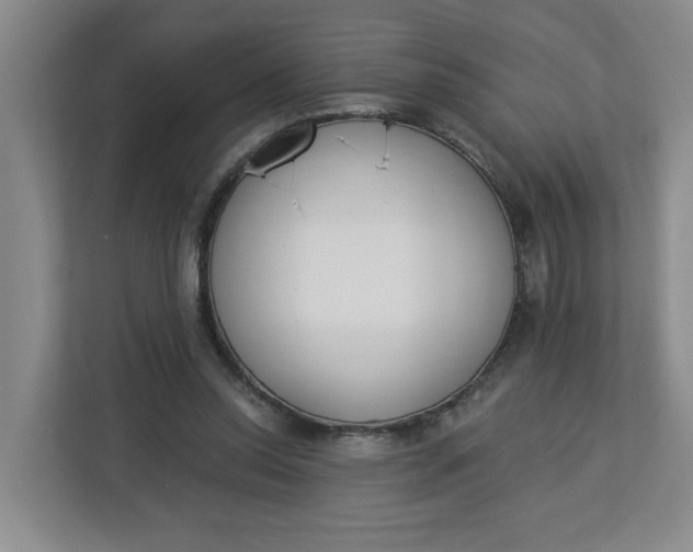 X0000112840350200909041527