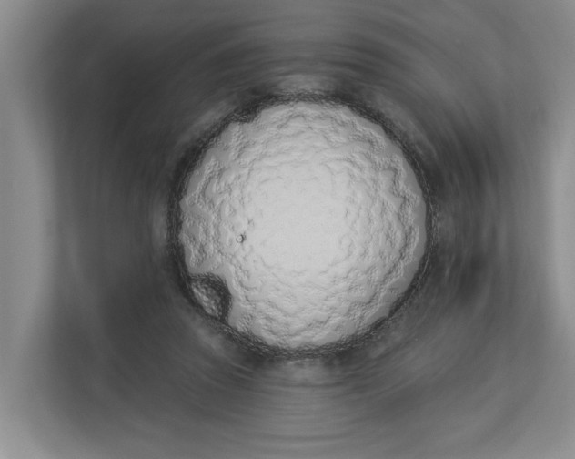 X0000112840353200909041527